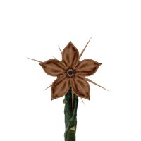SCP-1262